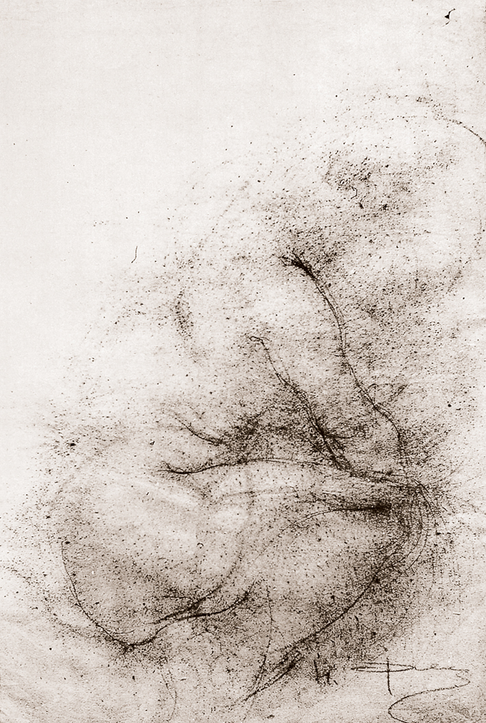  Nicolai Ivanovich Fechin —— 坐着的裸女 (3)